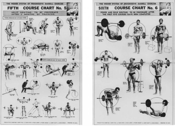 Плакаты с упражнениями для тренажерного зала