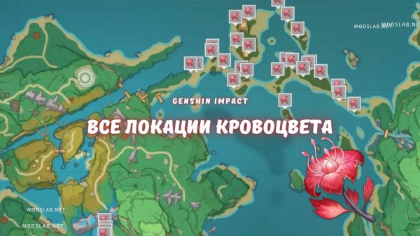 Кровоцвет Геншин Импакт
