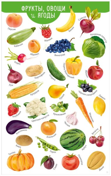 Развивающие плакаты для детей