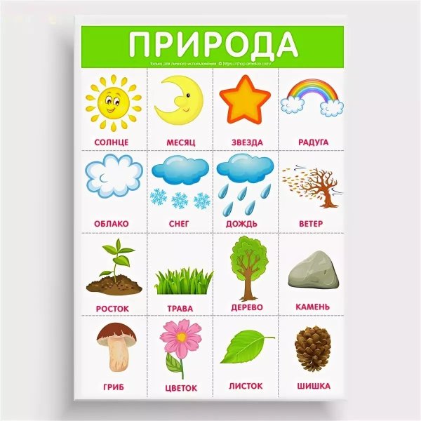 Развивающие плакаты для детей