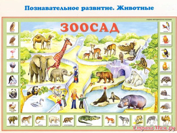 Плакат круговорот воды в природе для дошкольников