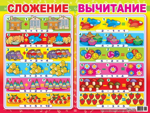 Многообразие живых организмов