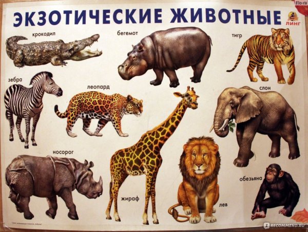 Изучаем цвета для детей