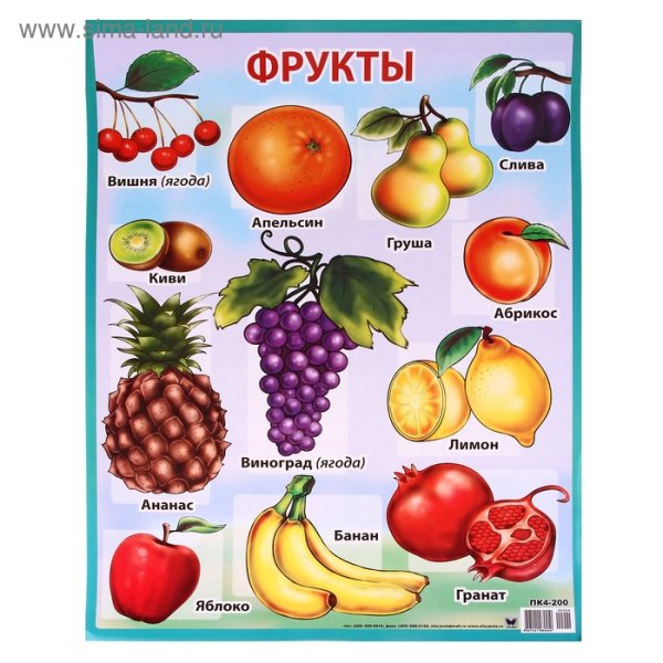 Времена года для детей