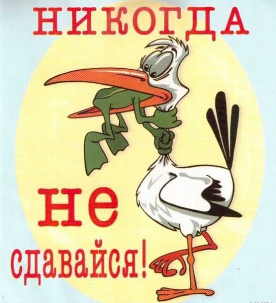 Никогда не сдавайся картинки