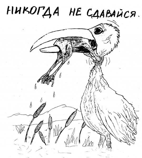 Никогда не сдавайся!