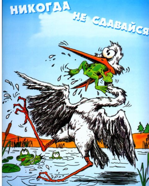 Никогда не сдавайся!