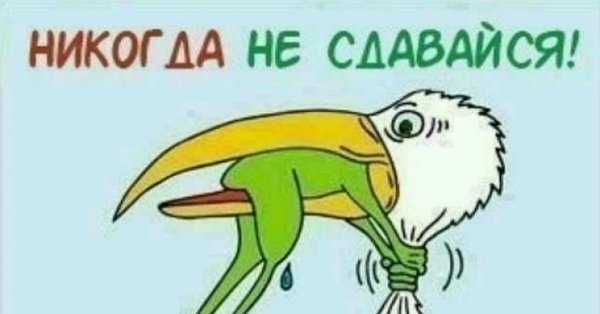 Никогда не сдаваться рисунок