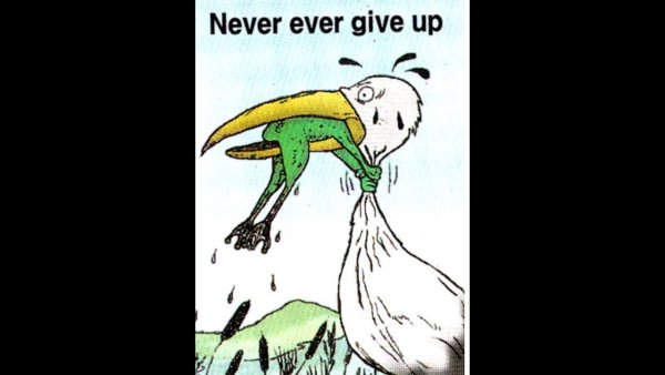 Никогда не сдавайся!