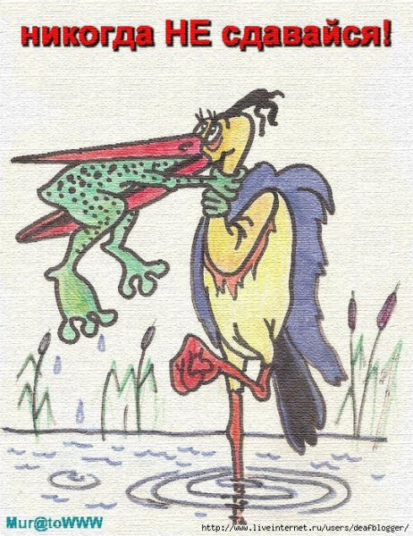 Плакат не сдавайся