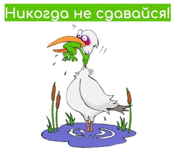 Никогда не сдавайся!