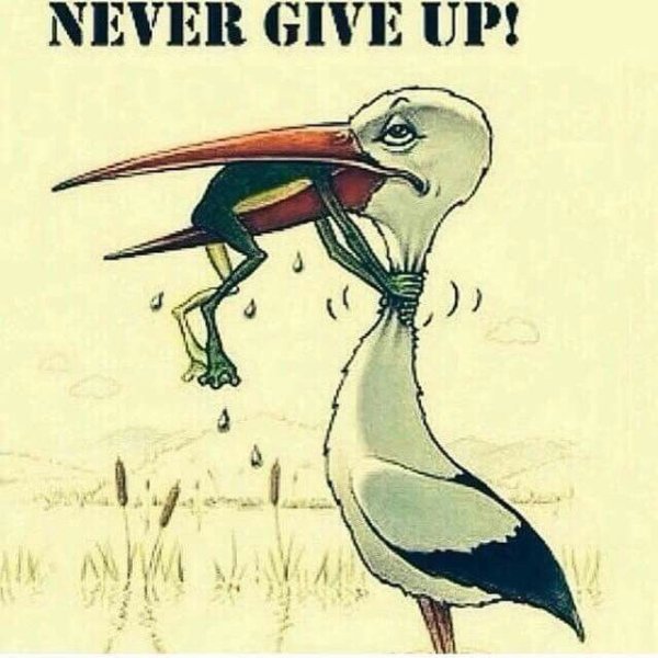 Не сдаваться