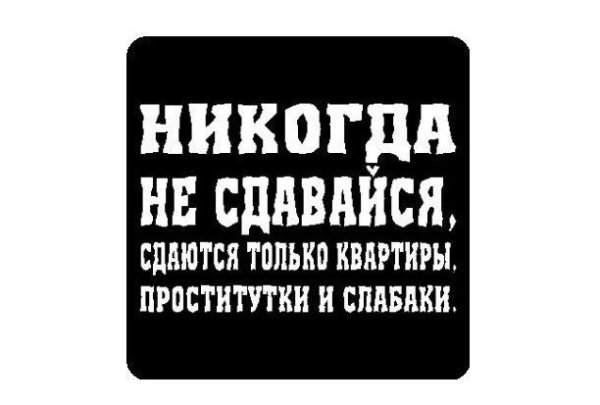 Лягушка и Аист никогда не сдавайся