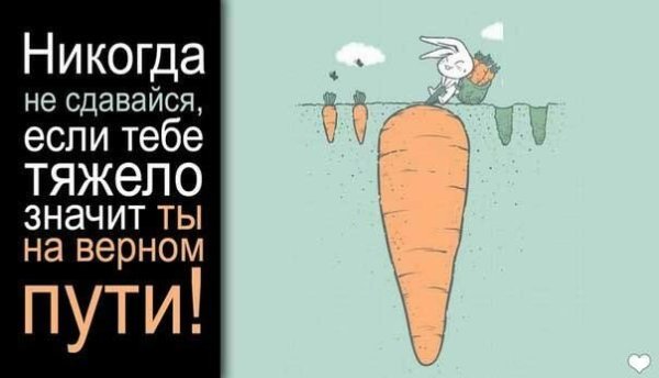 Никогда не сдавайся!