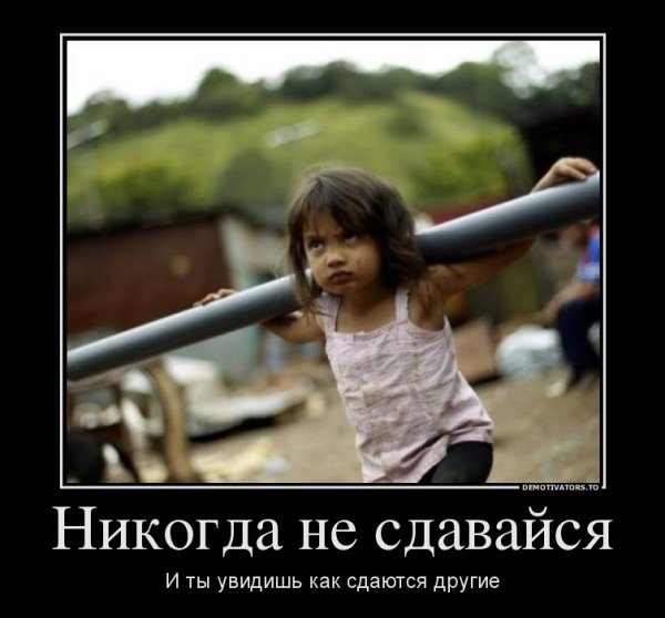 Никогда не сдавайся лягушка