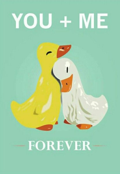 Плакат с уточками