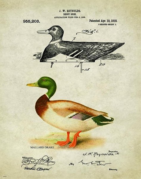 Плакат утки уу