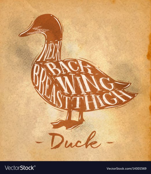 Плакат с утками