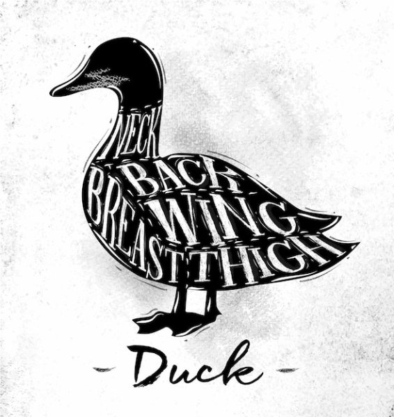 Плакаты утки