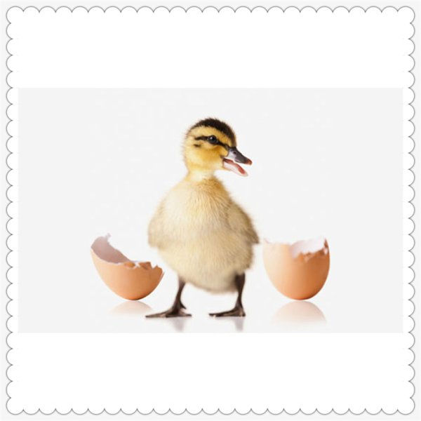 Слом стереотипов