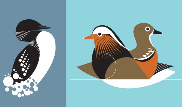 Плакаты утки