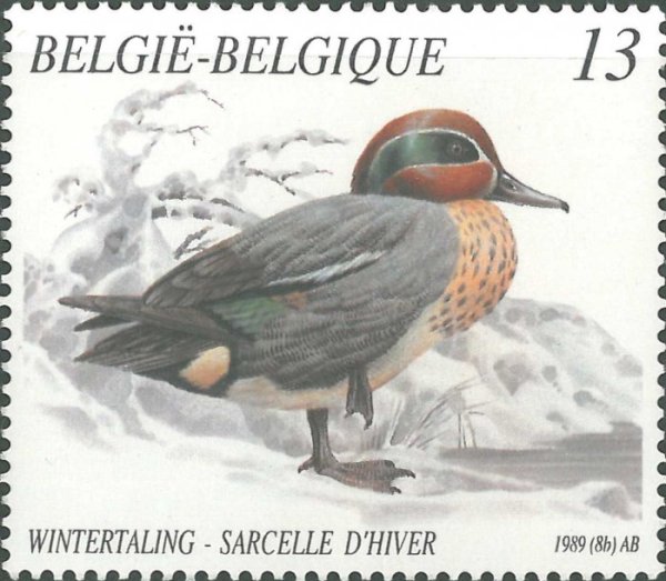 Плакат вырубной а4 "утята"