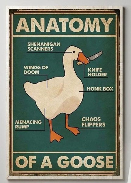 Марки фауна Duck Eire