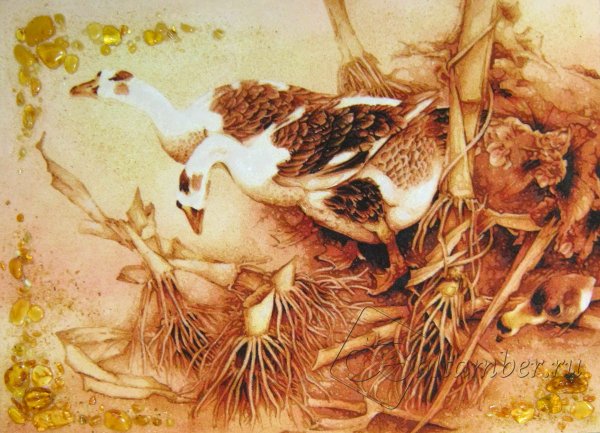 Промысловые утки