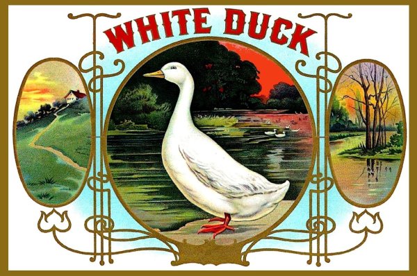 Томас летал с утками