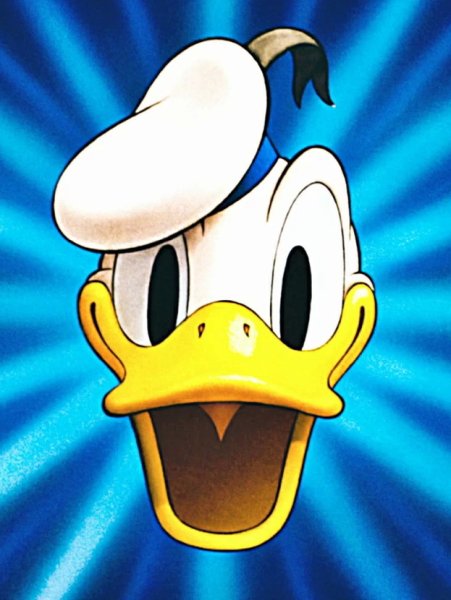 Утка Дональд дак