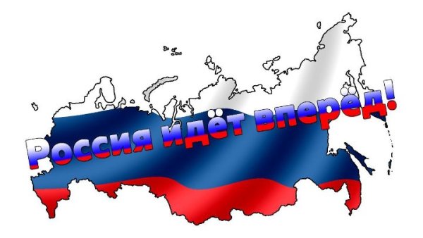 Виды медведей в России