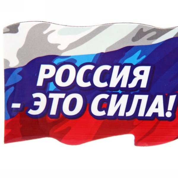 Россия вперед медведь