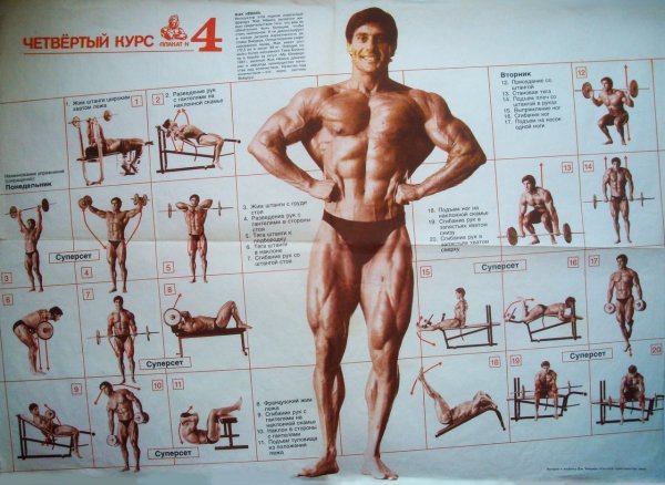 Арнольд Шварценеггер 1969