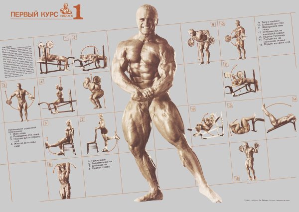 Арнольд Шварценеггер Постер