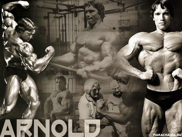 Conquer Arnold Schwarzenegger