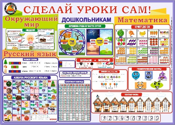 Плакат тело человека для детского сада