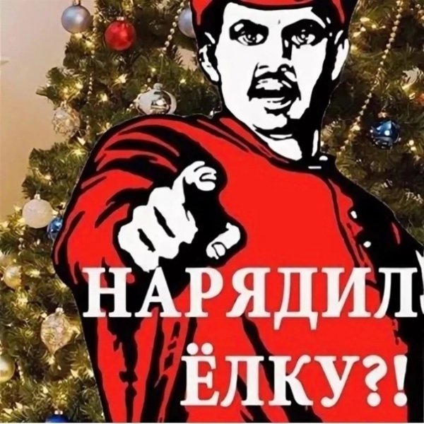 А ты уже нарядила елочку ?!
