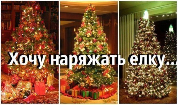 Шутки про елку