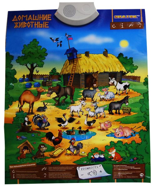 Плакат. Домашние животные.