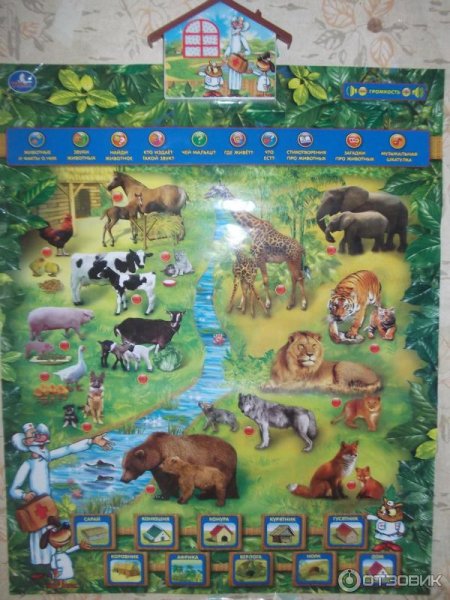 Интерактивный плакат животные