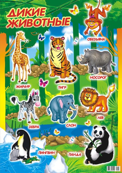 Карта животных России для детей