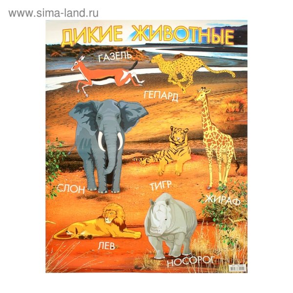 Зверята с музыкальными инструментами