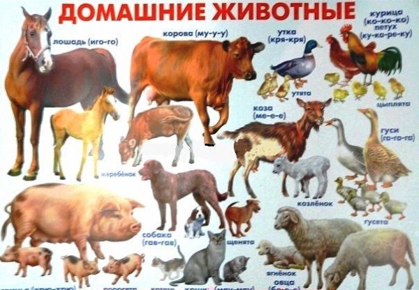 Детские плакаты с днем рождения