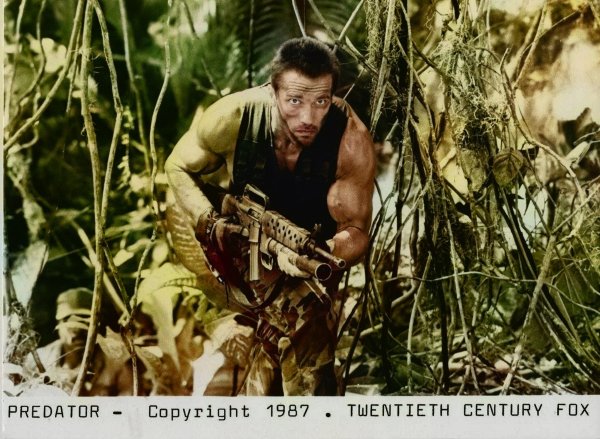 Арнольд Шварценеггер хищник Постер