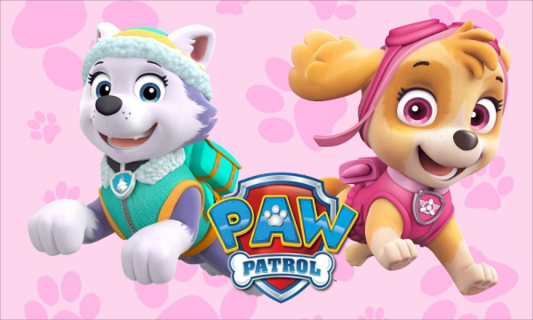 Paw Patrol Skye