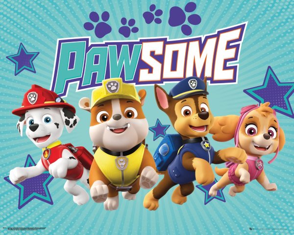 Paw Patrol Скай