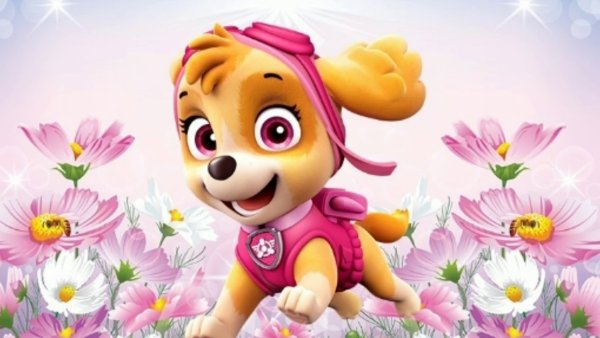 Щенячий патруль. Скай