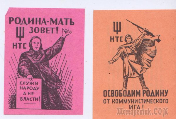 Народно-трудовой Союз российских солидаристов