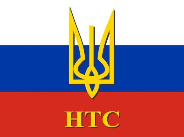 Народно-трудовой Союз российских солидаристов флаг