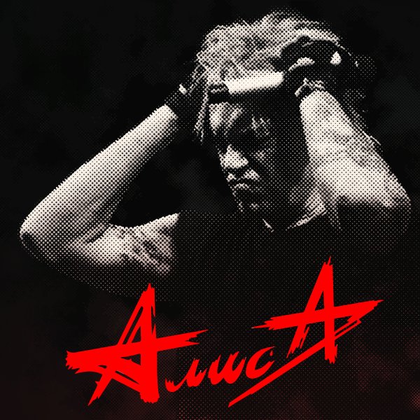 Алиса Кинчев дурень